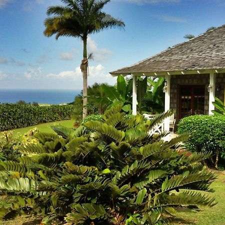 Ottleys Plantation Inn Cayon 외부 사진